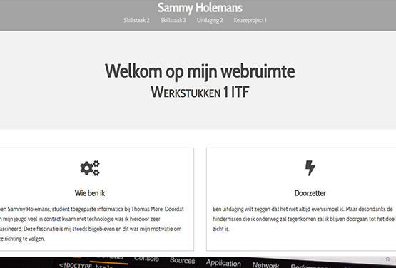 Site Sammy Holemans